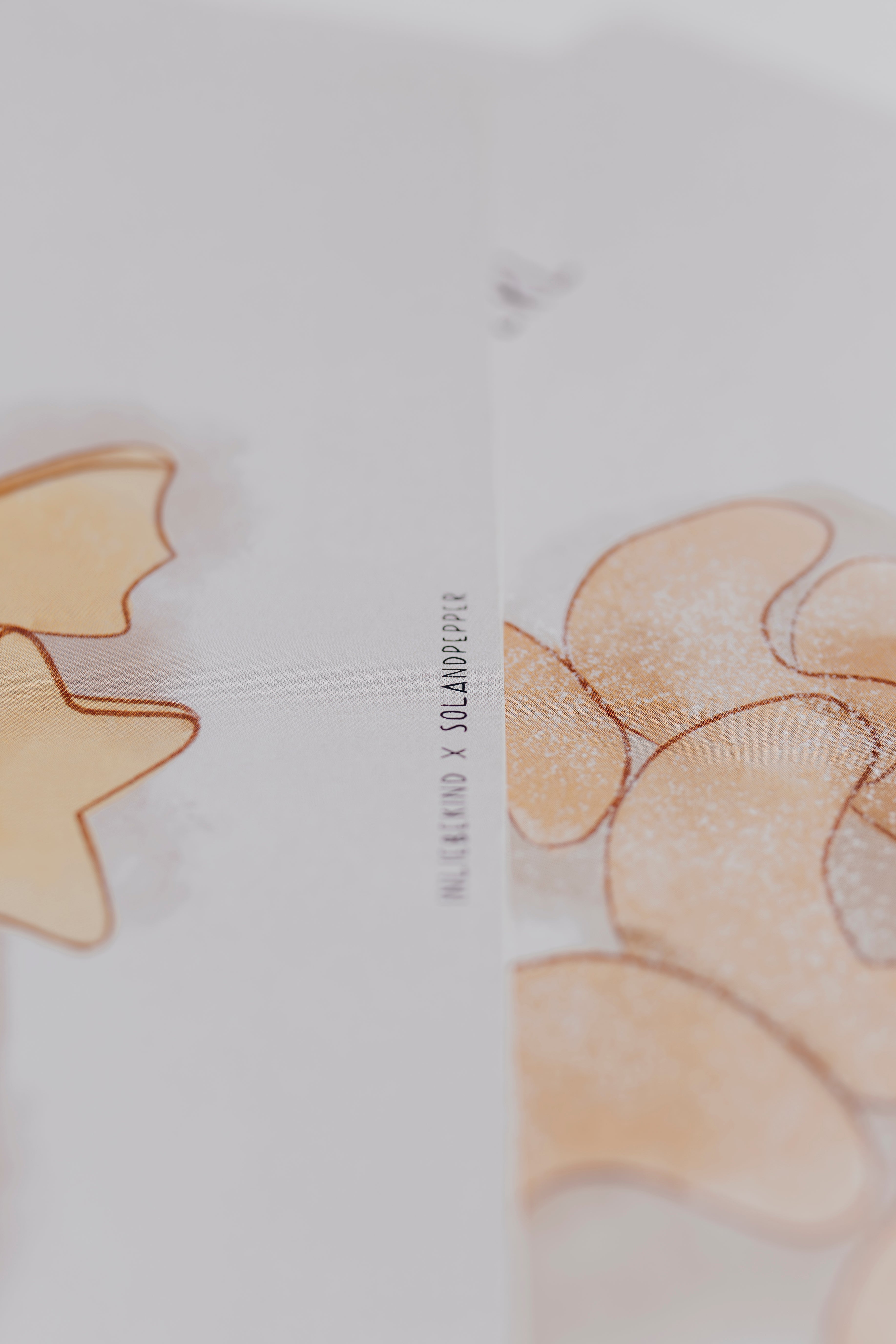 Backkarten - DOWNLOAD