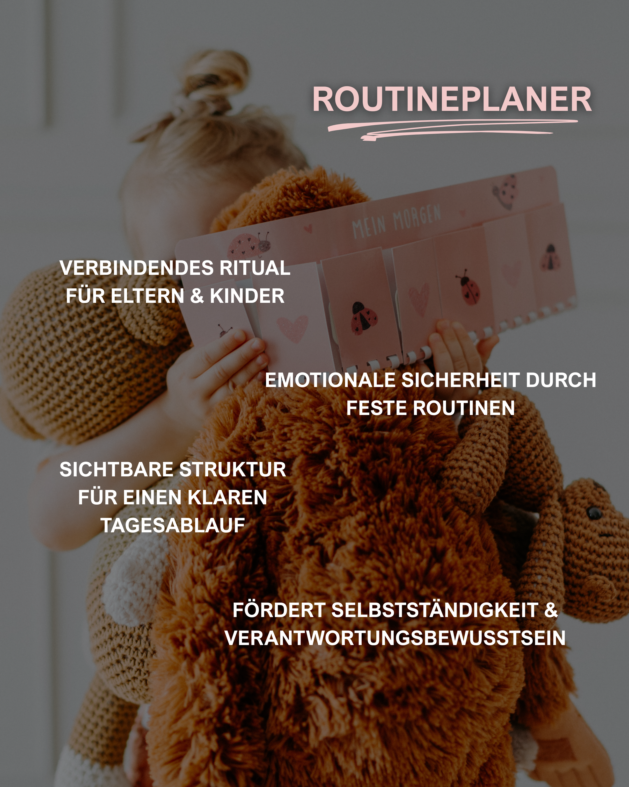 Bundle-Konfigurator - individuell kombinieren